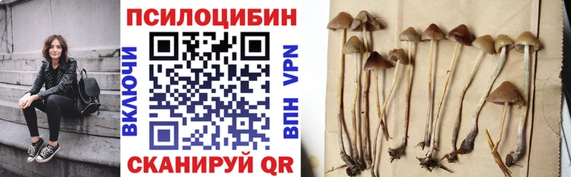 Псилоцибиновые грибы Psilocybine cubensis  hydra ТОР  Бобров  shop состав  дарнет шоп 